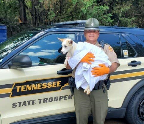 police officer holding the dog