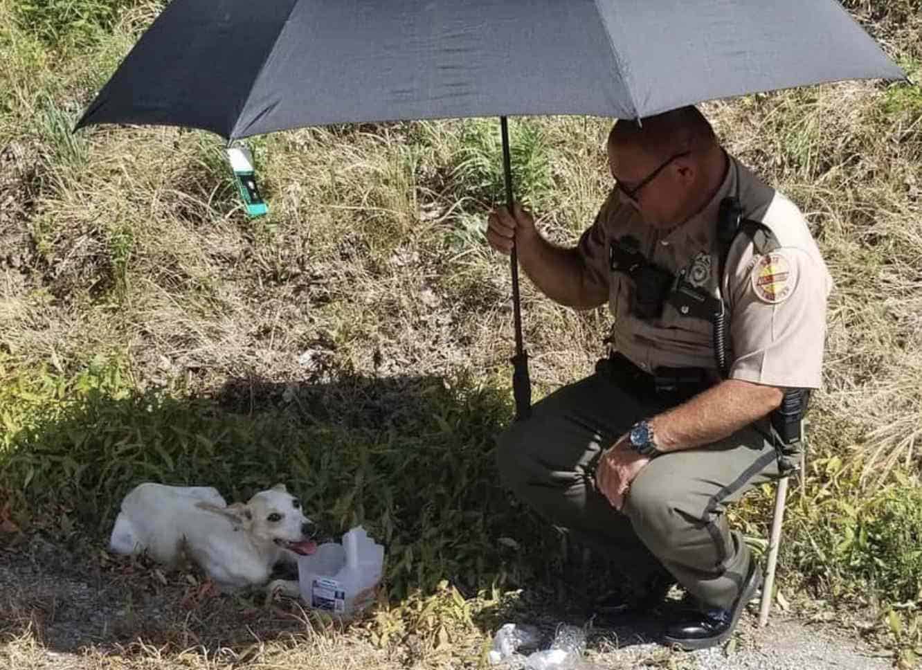 police officer protects dog with umbrella