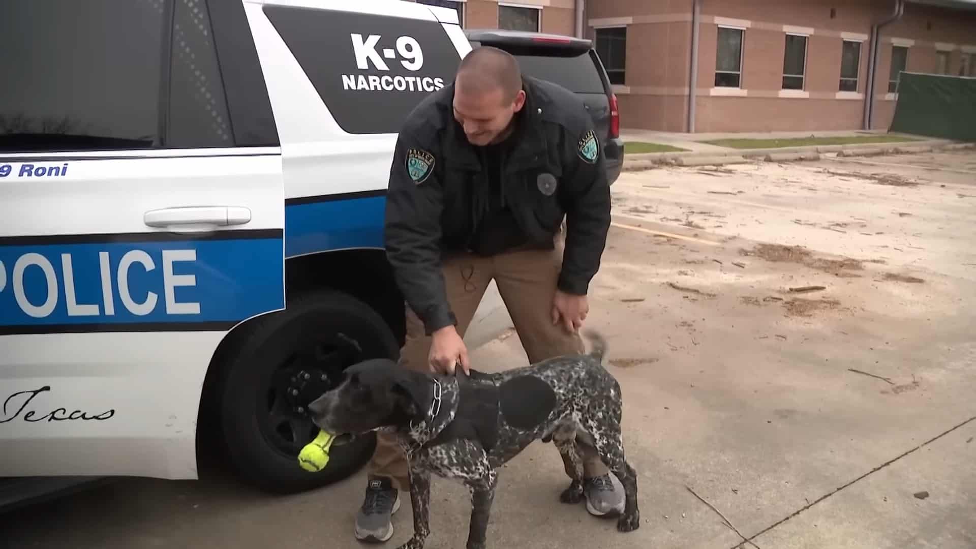 police officer with his K-9 partner standing near the car