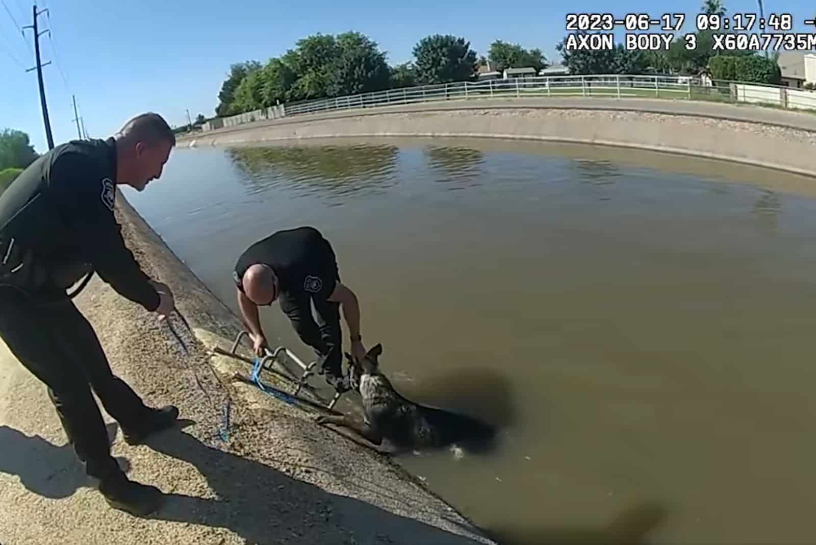 police officers rescuing dog from canal
