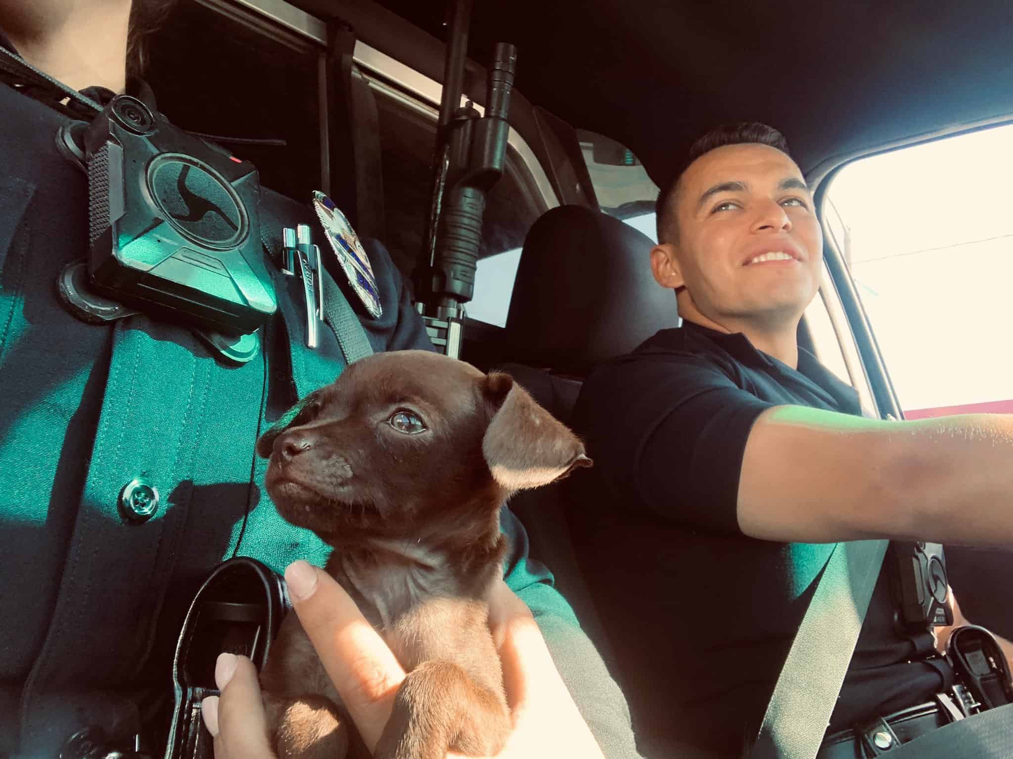 police officers with adorable tiny dog