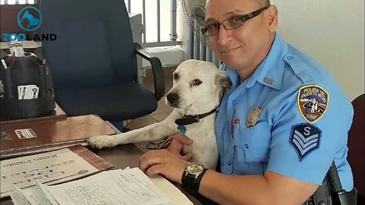 policeman sitting with dog by the table