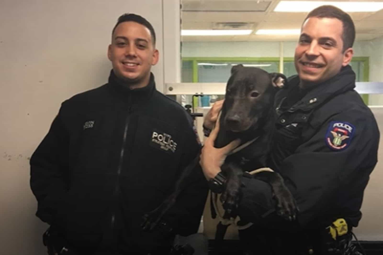 policemen smile while holding a saved pitbull
