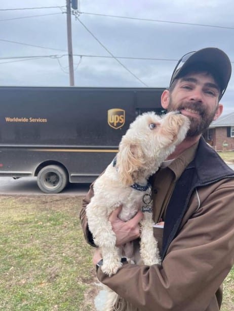 poodle in the arms of the delivery man