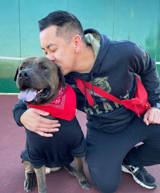 portrait of a dog being kissed by a man