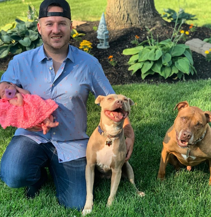 portrait of a man holding a child in his arms and two pit bulls