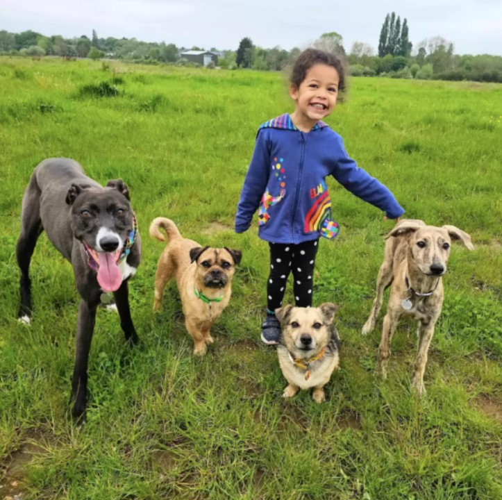 portrait of a smiling girl with dogs in a field