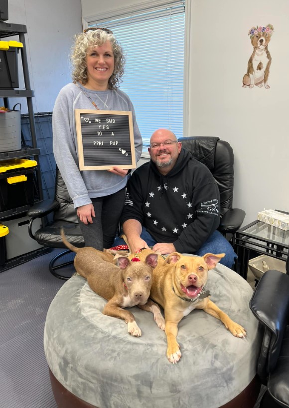 portrait of two smiling dogs on an armchair with their owners