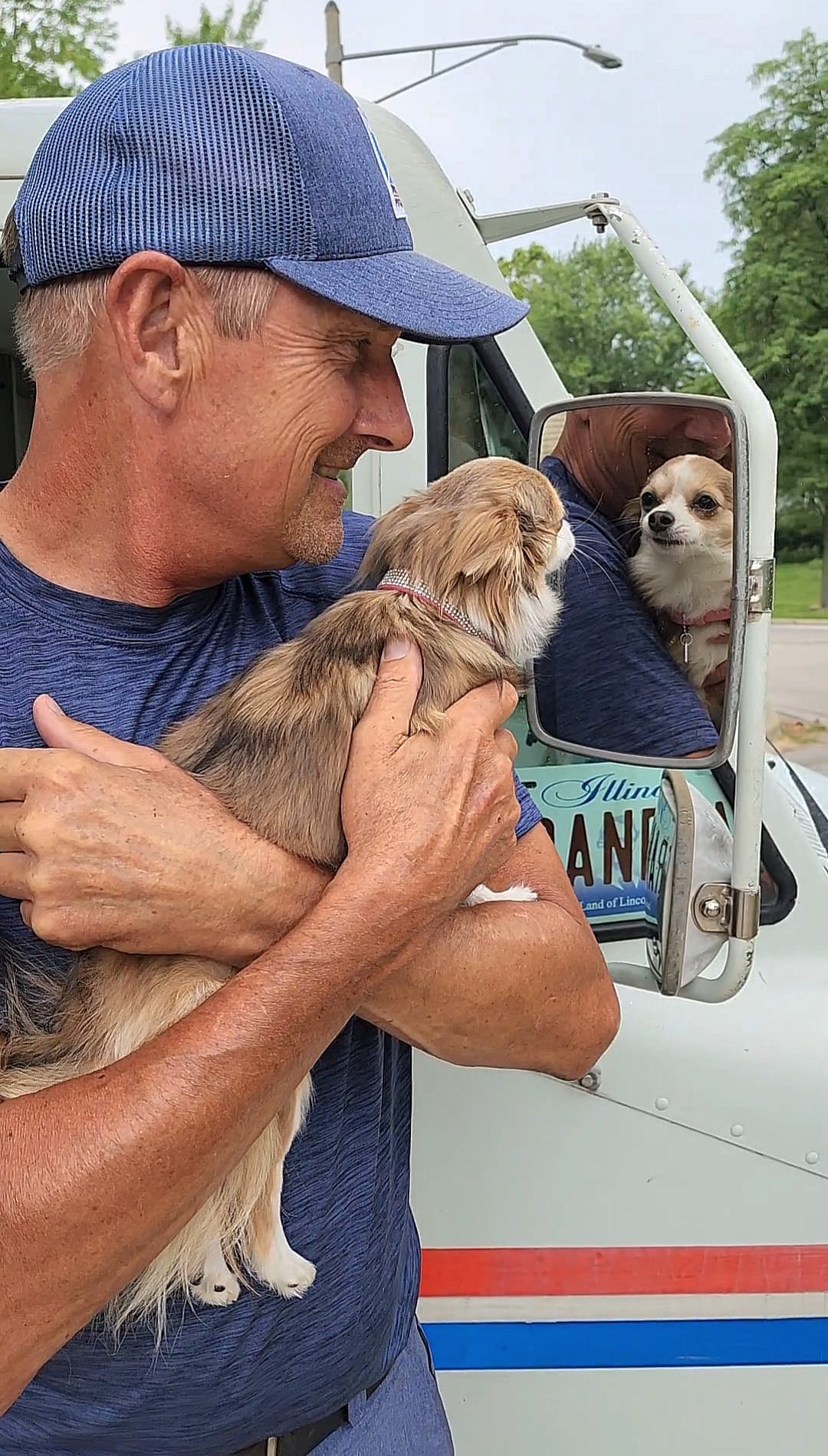 postman with chihuahua looking at the rear side mirror