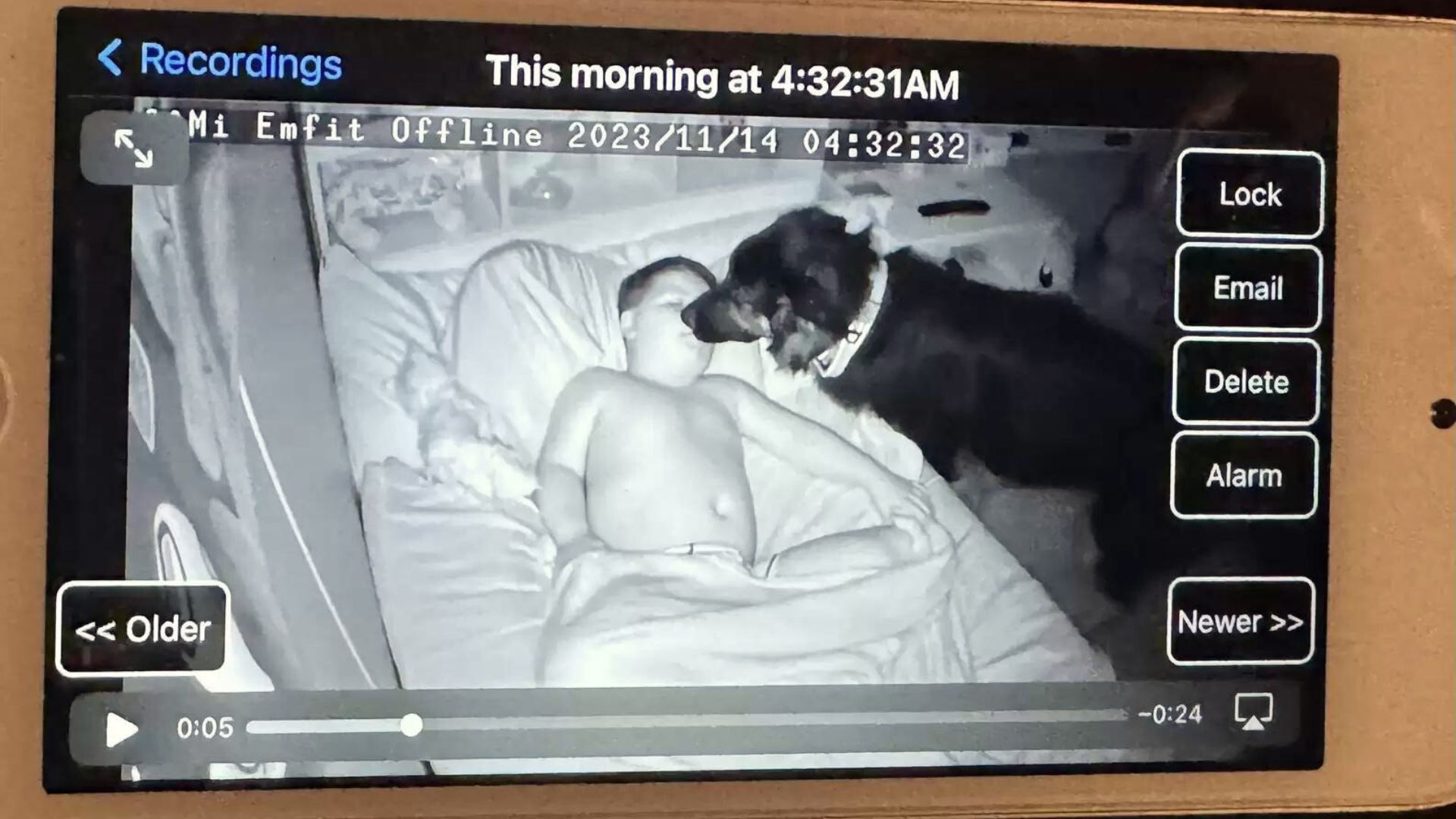 Camera Caught A Dog Sneaking Into His Hooman Brother’s Room For The Most Noble Reason