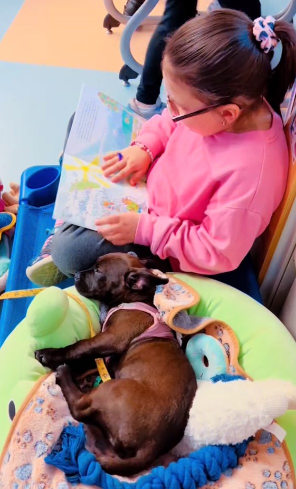 puppy lying next to a little girl