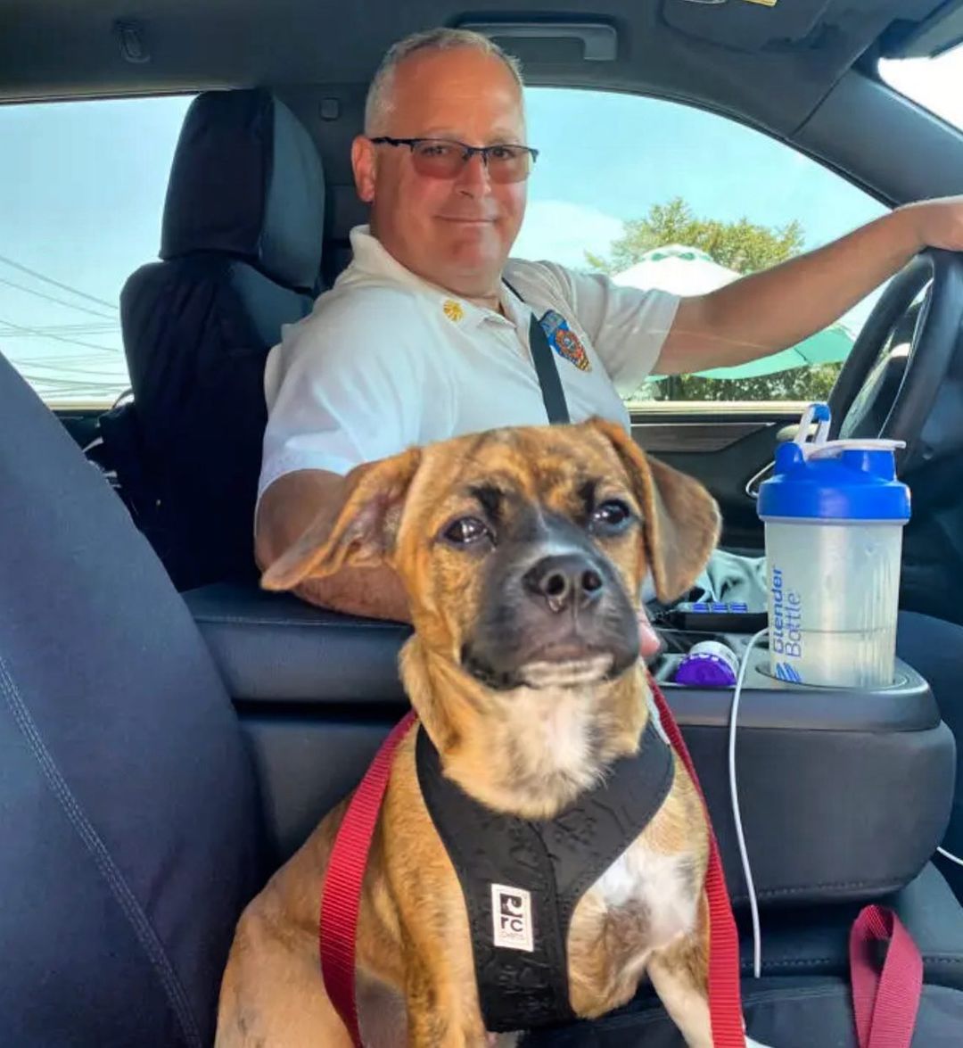 puppy named riggs sitting in a car with a man