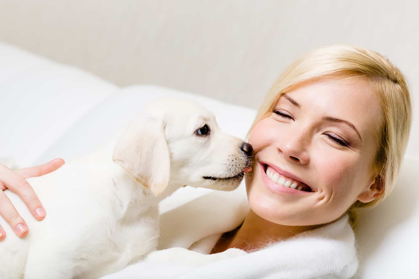 puppy of labrador licking the face of woman and standing on her