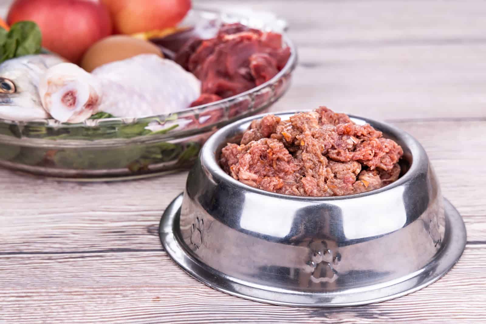 raw food in a bowl for dog