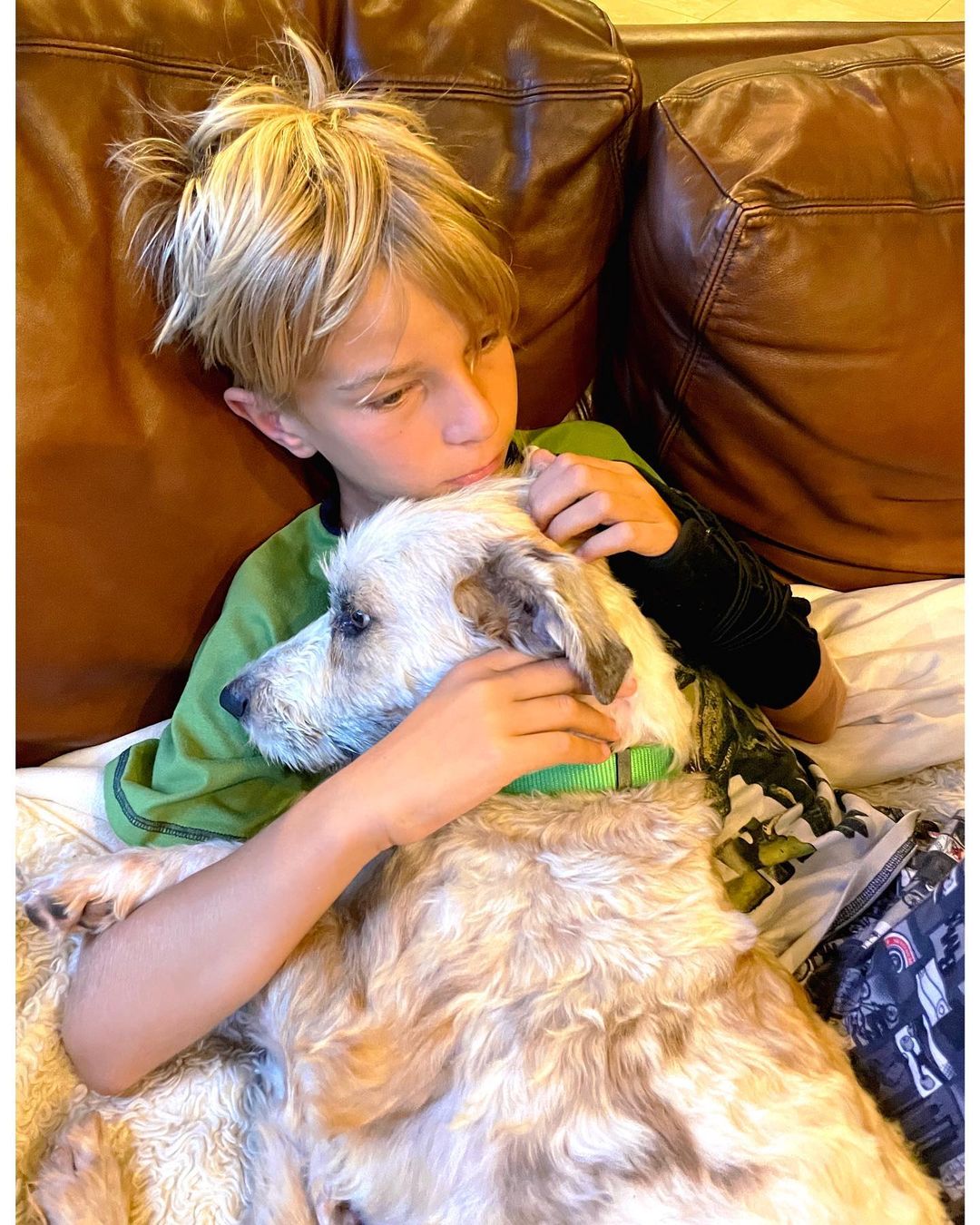 rescue dog lying on little boy