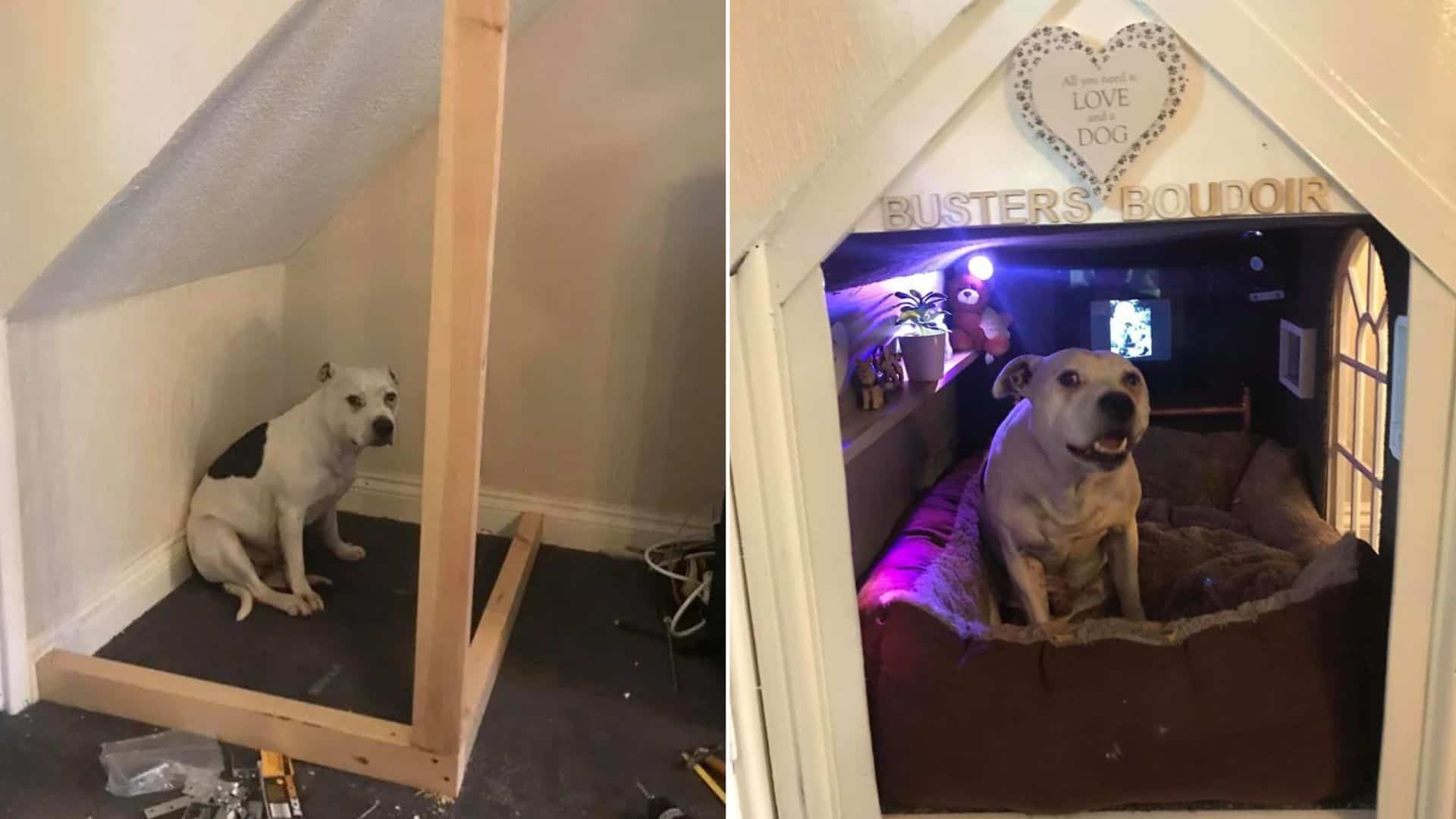 Rescue Dog Gets A Special “Mini House” As His Private Hideout