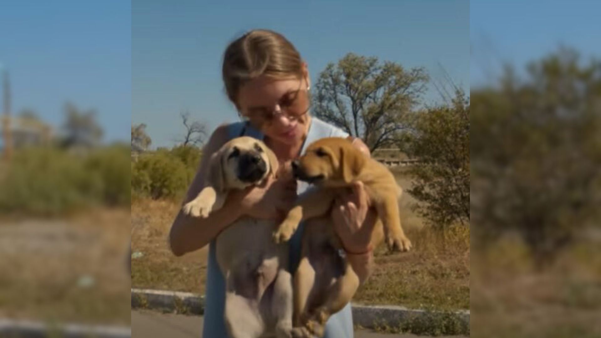 Rescuers Received A Call About 2 Puppies Living In An Industrial Area So They Came To Rescue Them