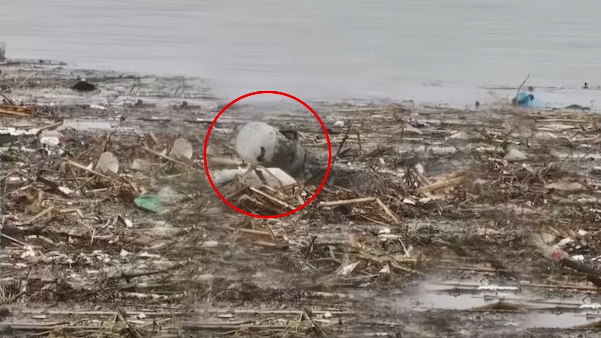 Rescuers Found An Animal Who Had Its Head Stuck In A Plastic Container So They Went To Help