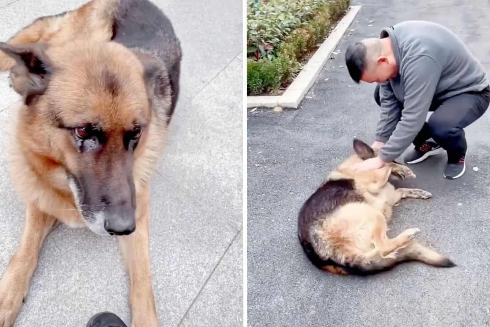 A Retired K9 And Her Handler Reunite With Tears