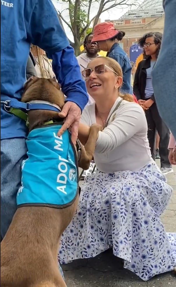 reunion between a stolen dog and his owner