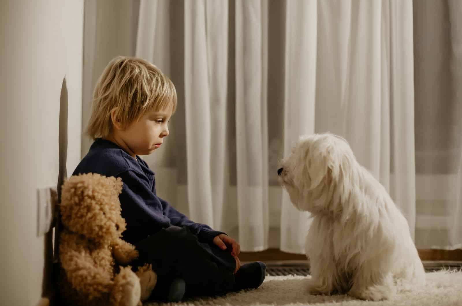 sad boy sitting on the floor with small dog