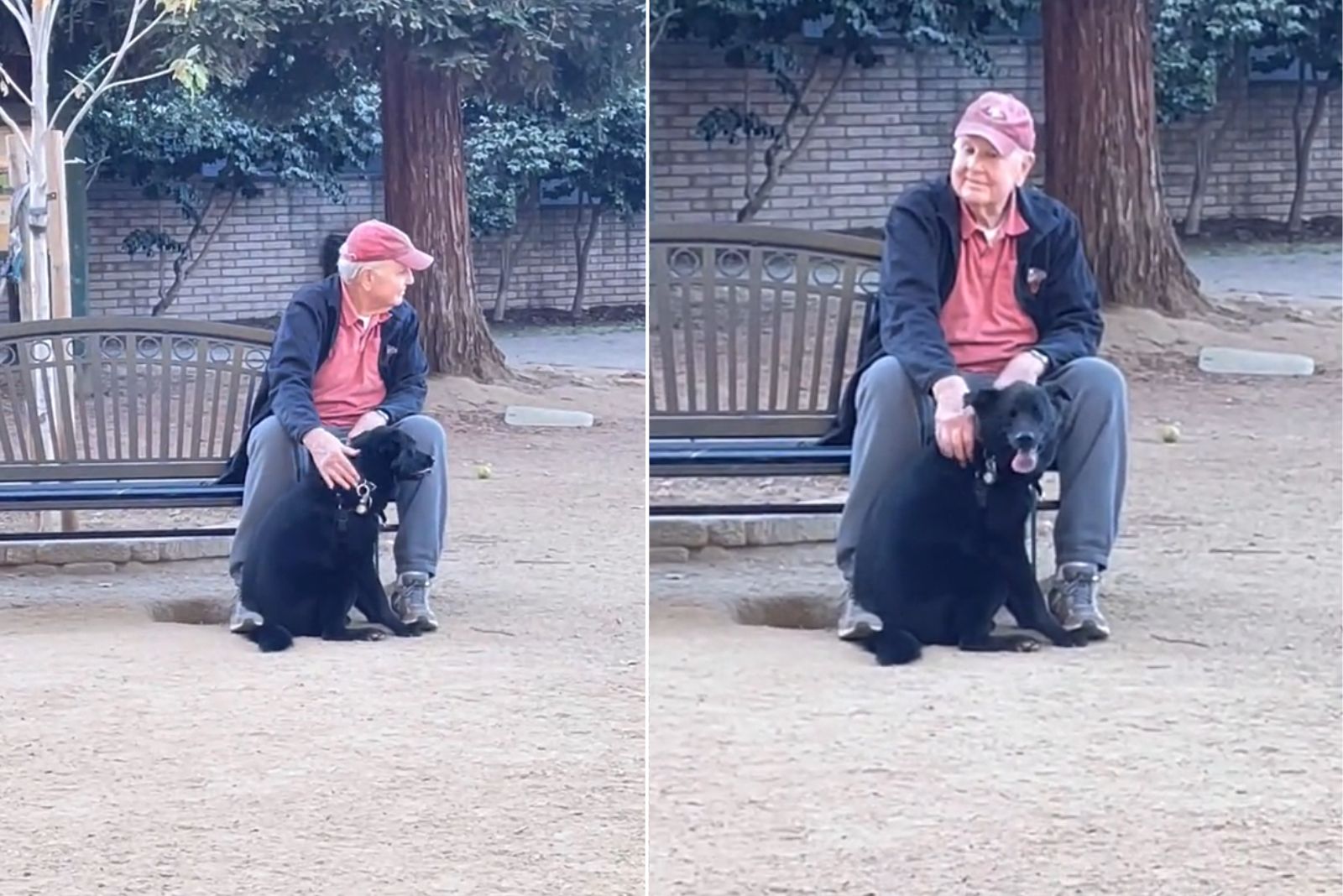 senior man with dog outdoor