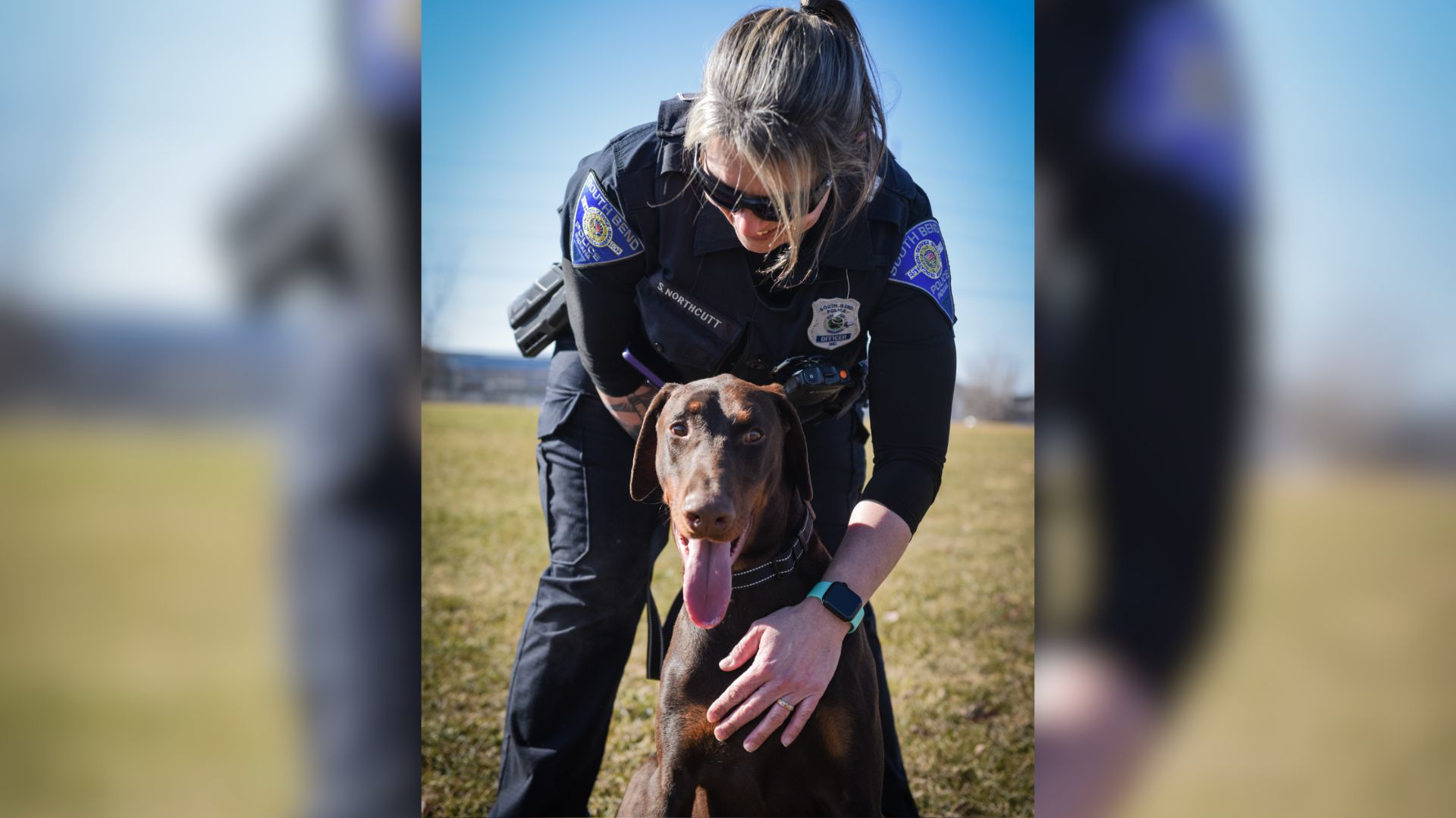 Severely Abused Dog Refuses To Trust Any Hooman That Approaches