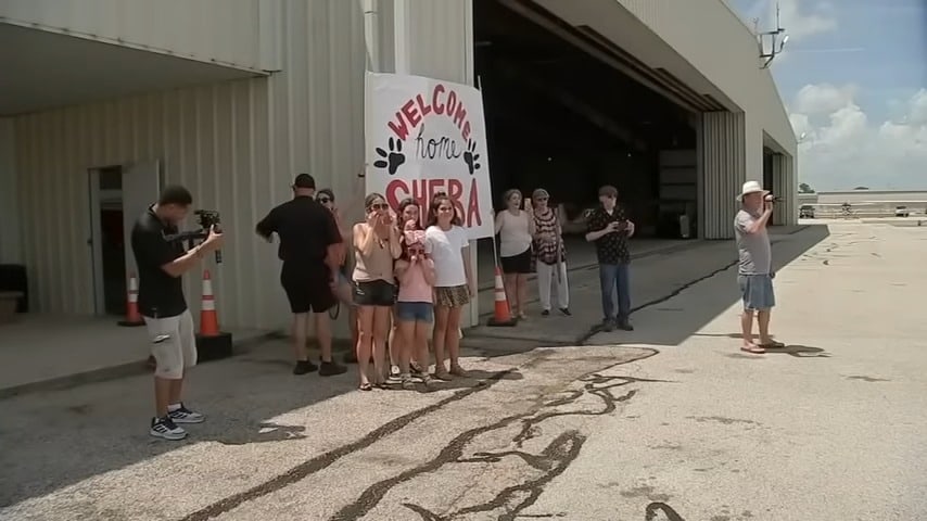 Sheba's family prepared a ceremony to welcome sheba back