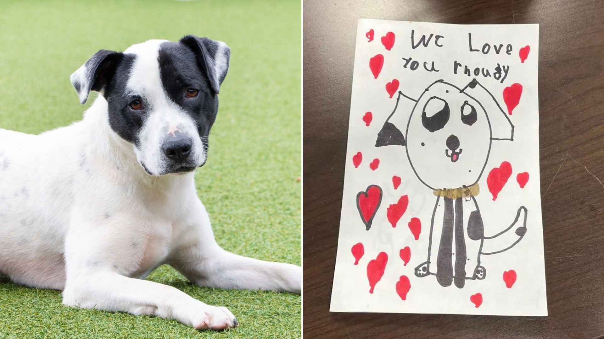 Kids Leaving A Heartbreaking Note Alongside Their Surrendered Dog Bring Tears To Everyone