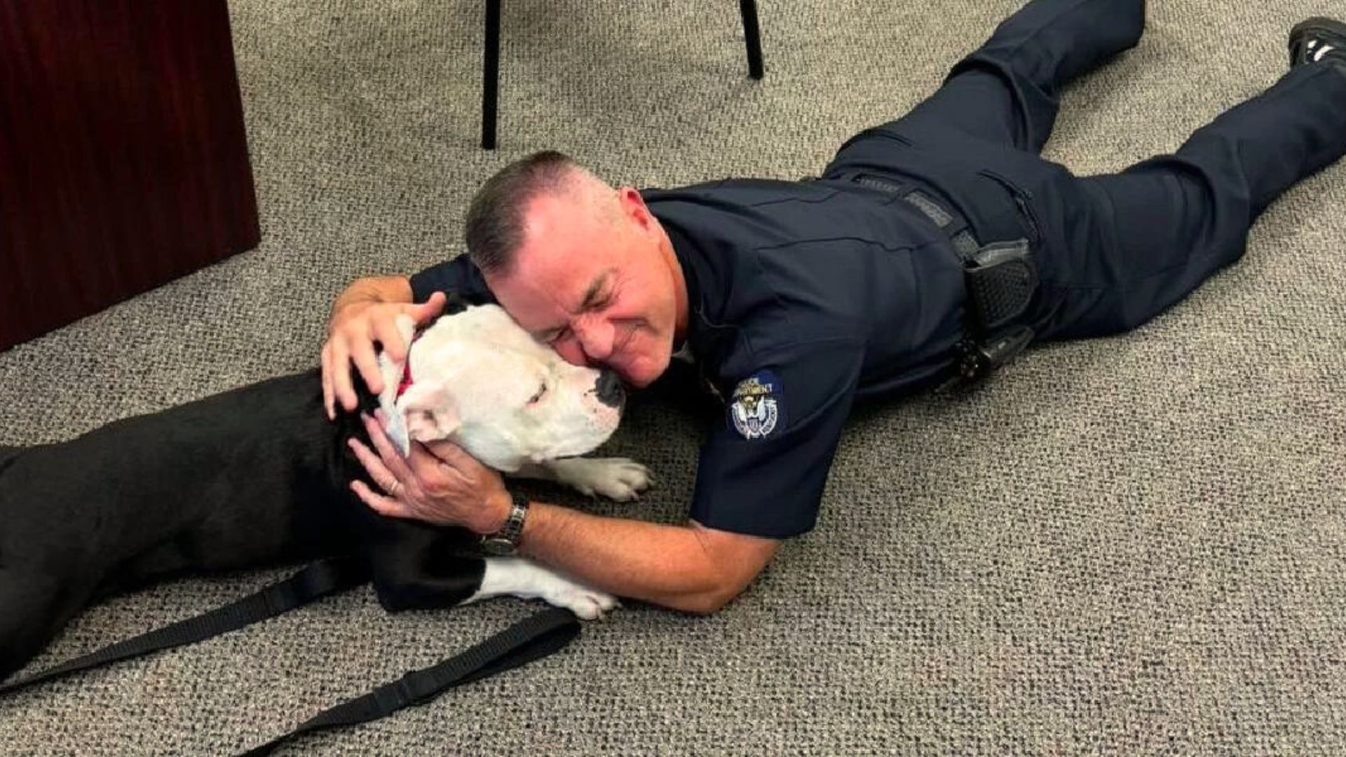 Overlooked Shelter Dog Visit The Local Police Department And Becomes A Member Of Their Team