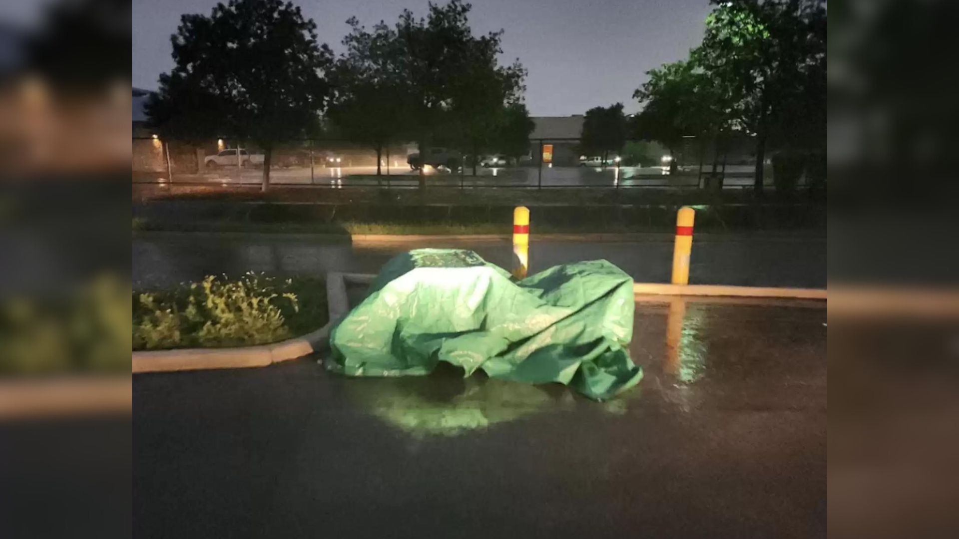 Shelter Staff Finds A Green Tarp In A Parking Lot, Only To Discover A Shocking Surprise Under It