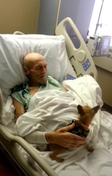 sick man with dog on hospital bed