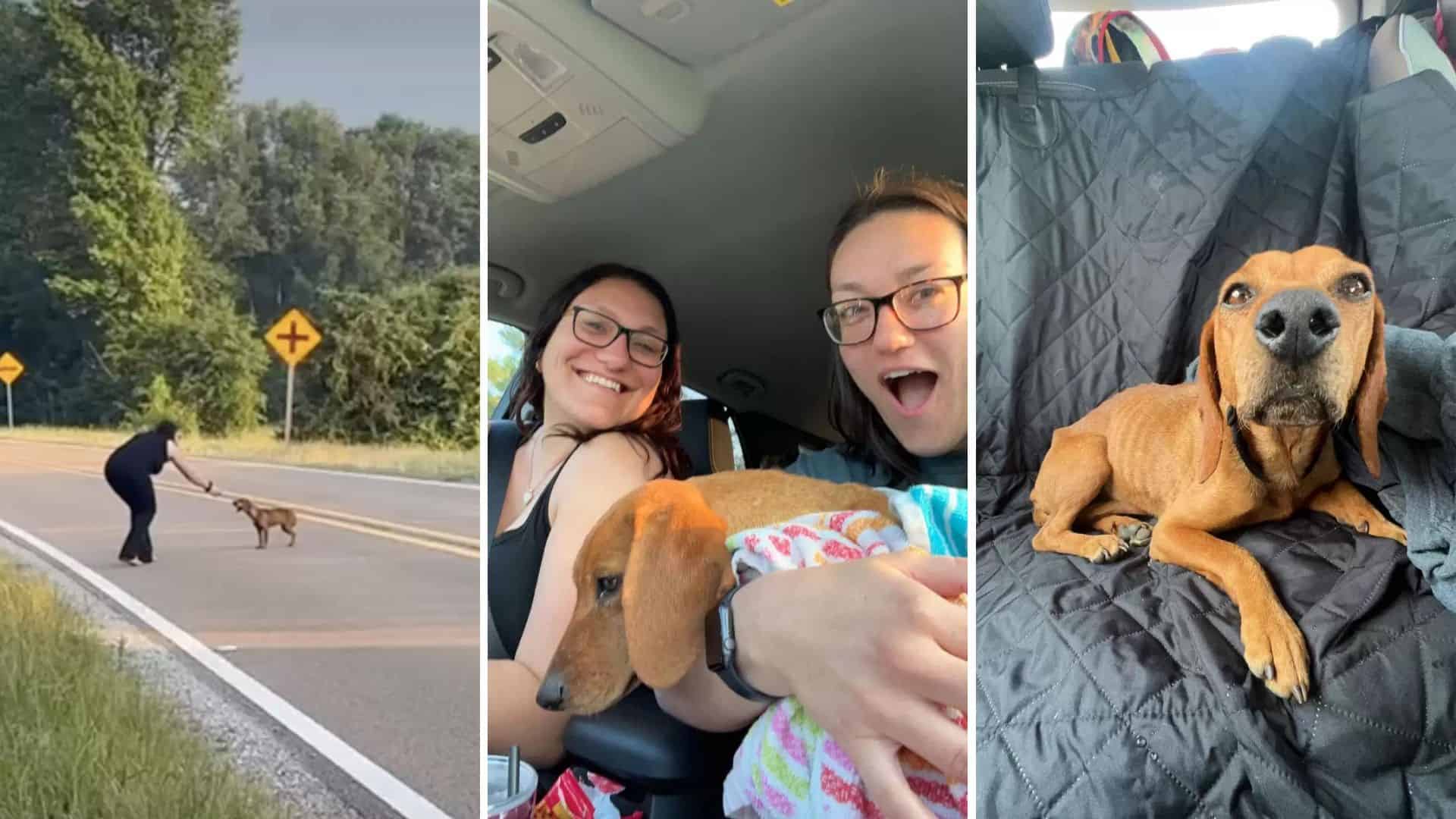 Tiny Dog Saved On Sisters’ Road Trip Now Lives The Happiest Life In Illinois