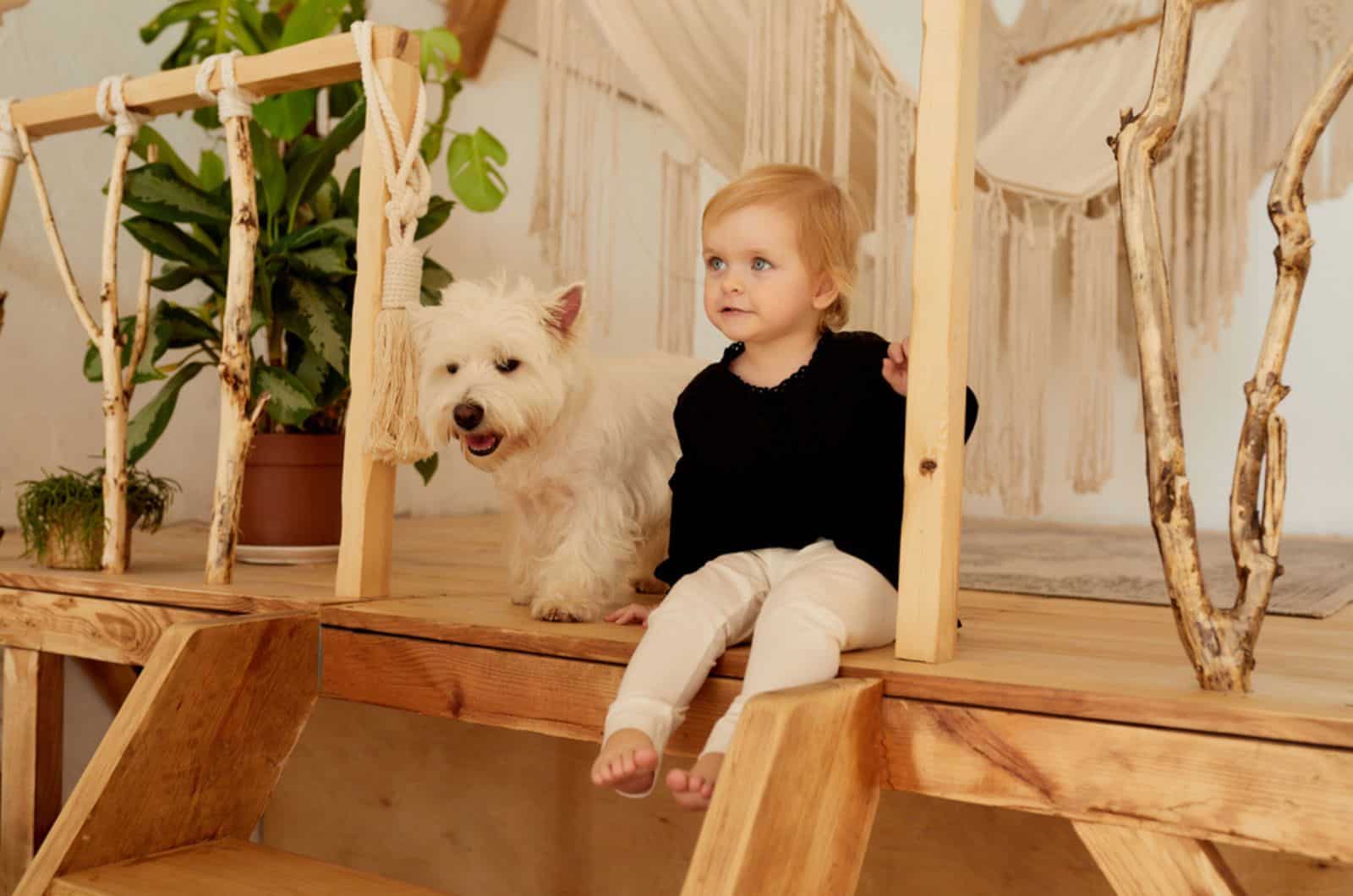 small dog and baby sitting on wooden stairs