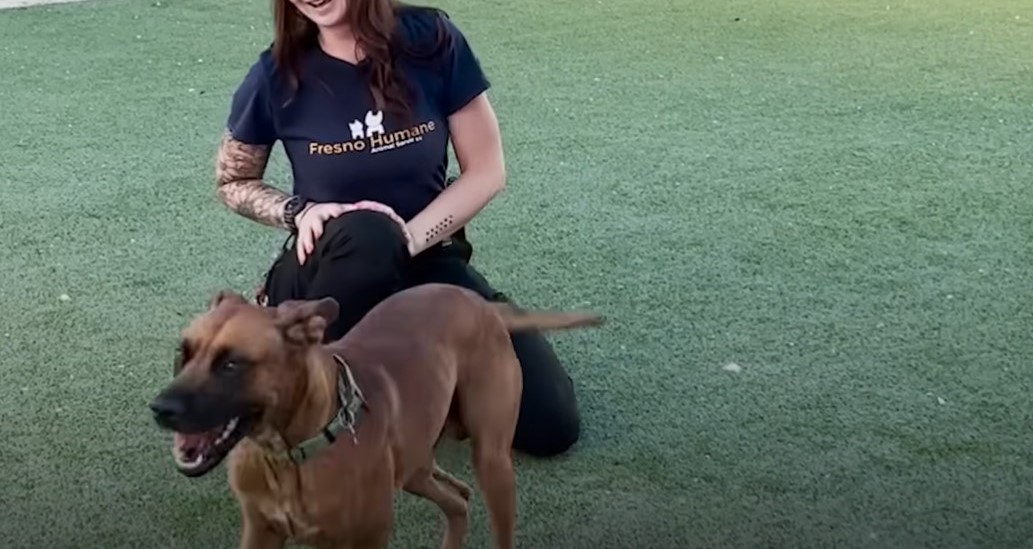 smiling woman with happy dog