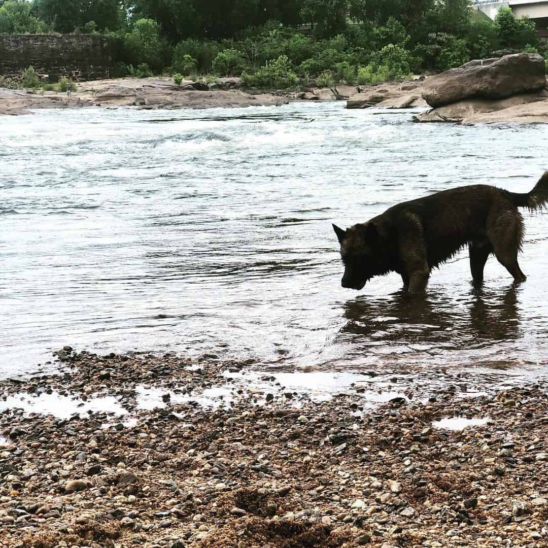 Southern Wind K9 in the water