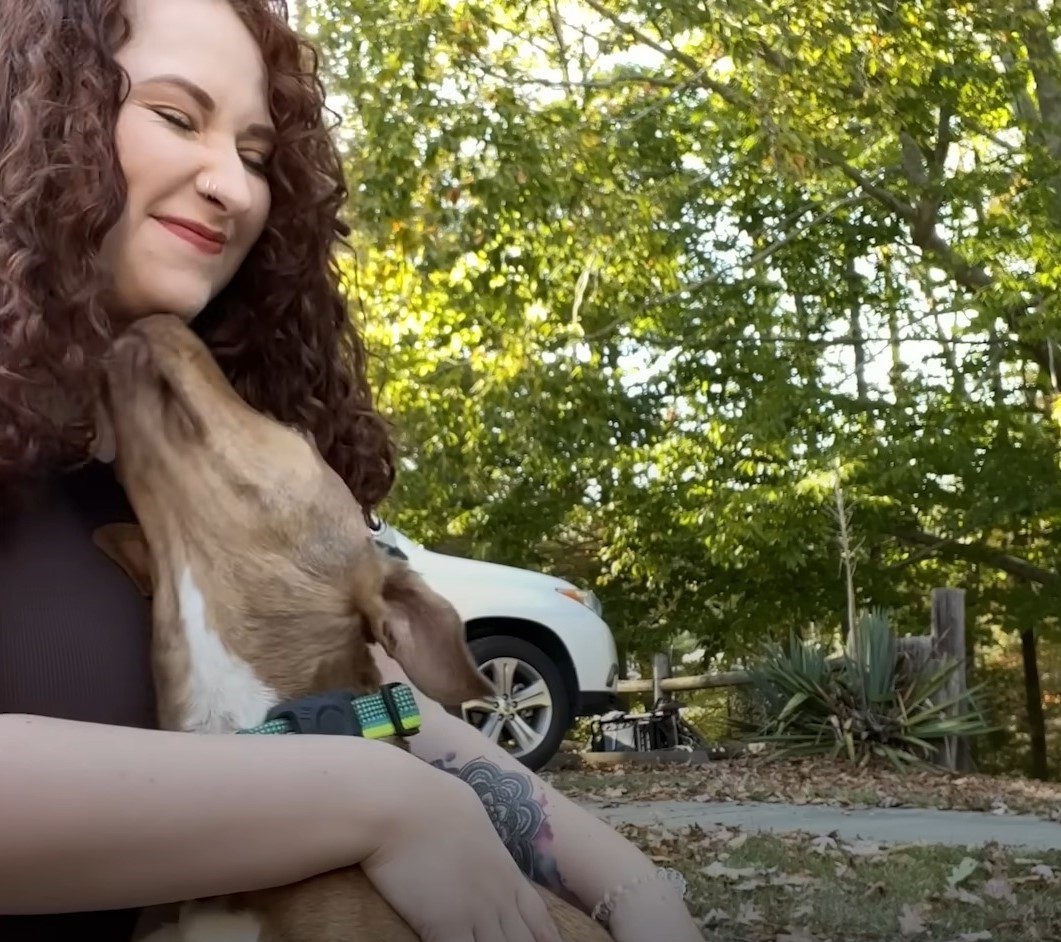 stray dog licking woman