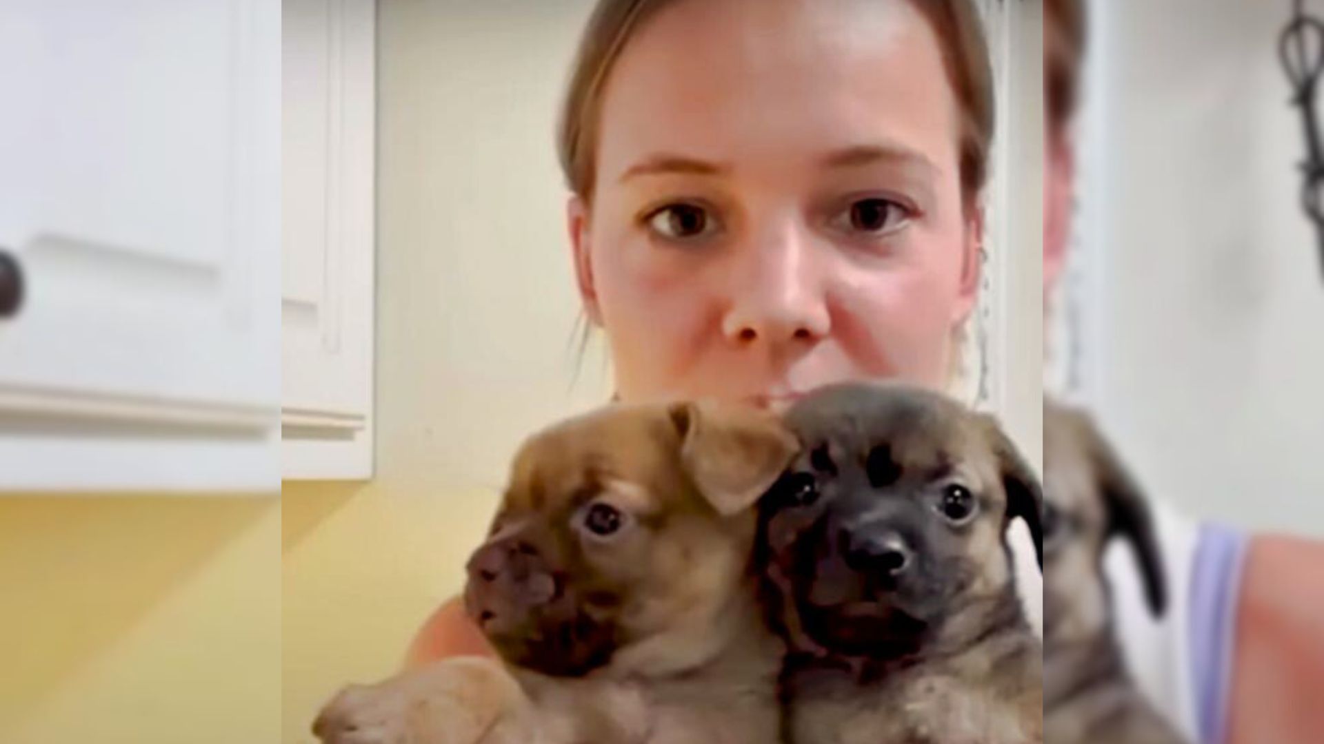 Struggling Orphan Puppies Are Reunited With Their Mom