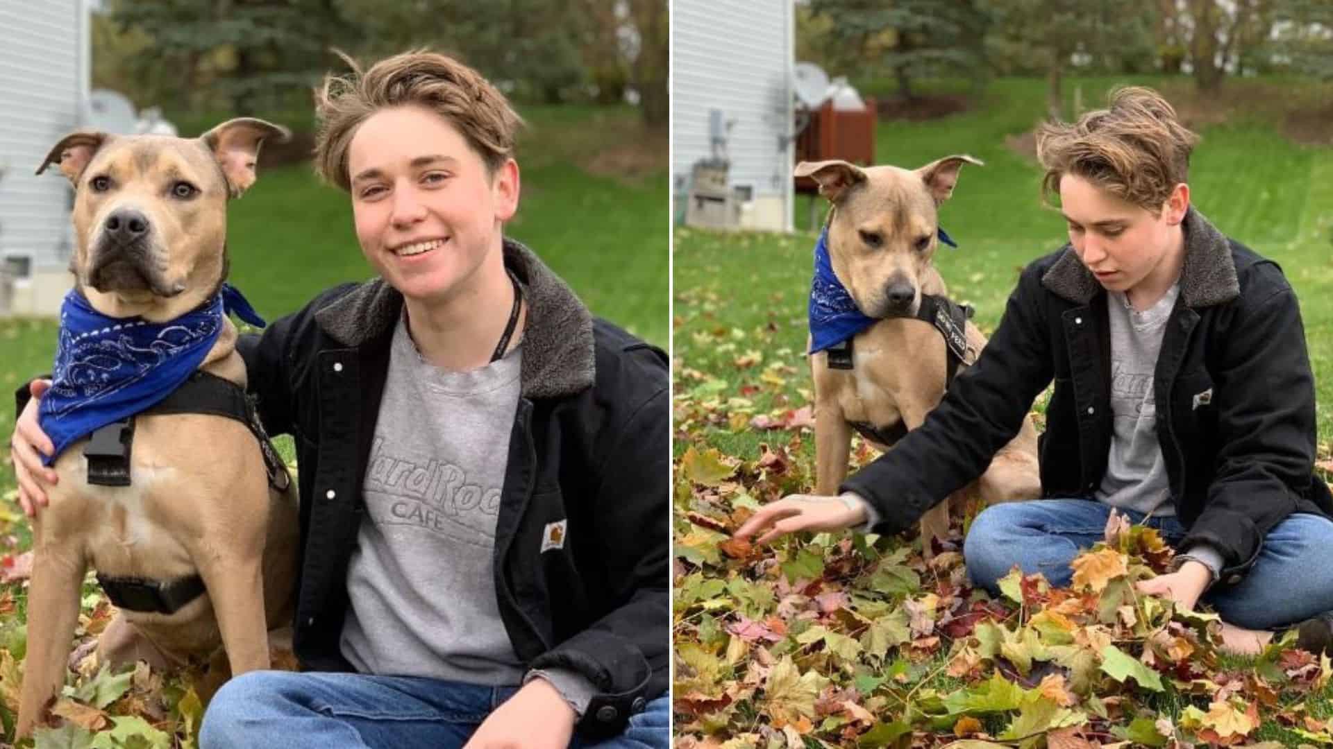 Teen Saves A Suffering Dog And Gets A BFF