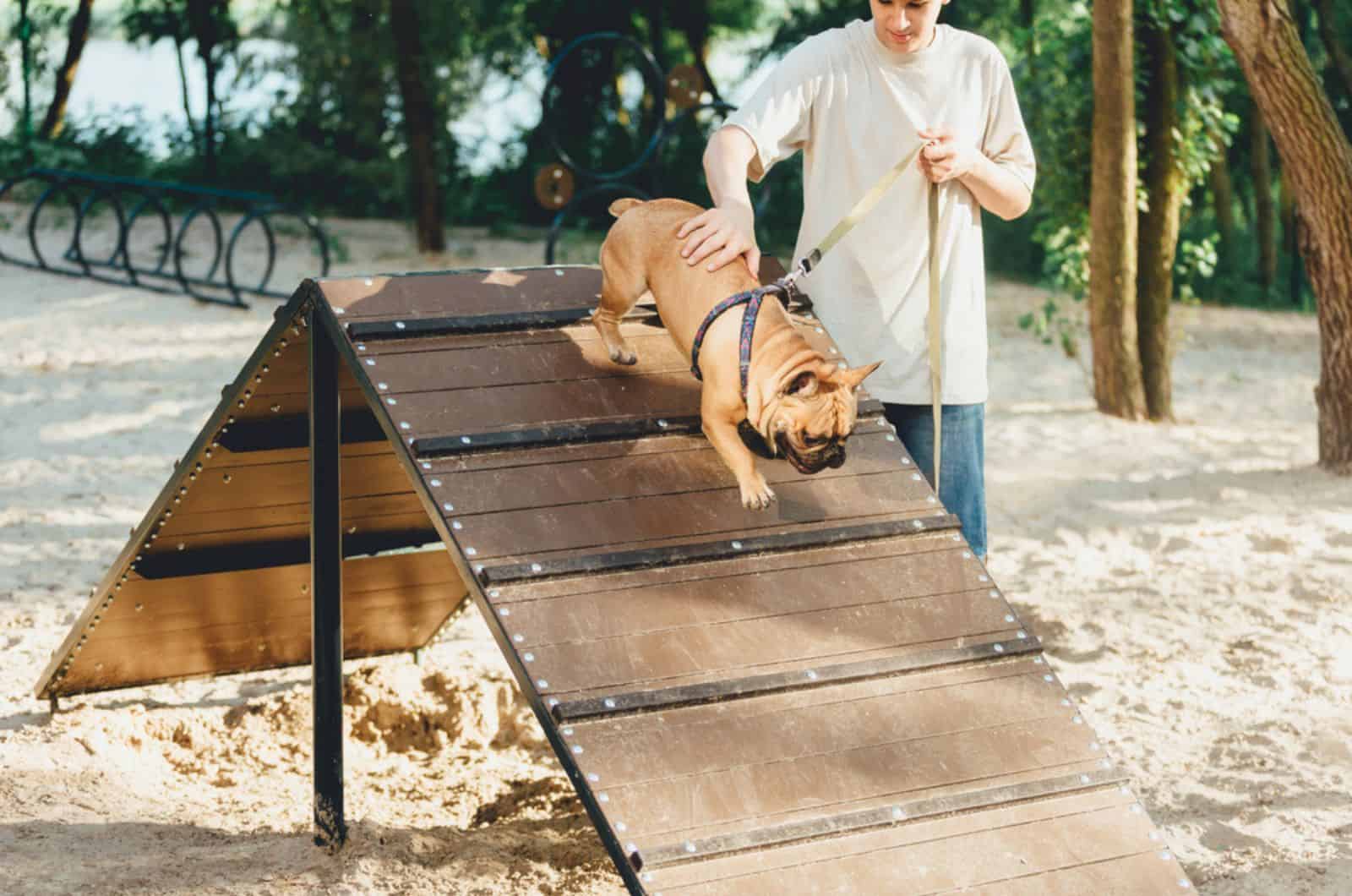 teenager with his cute french bulldog on special playground for dogs