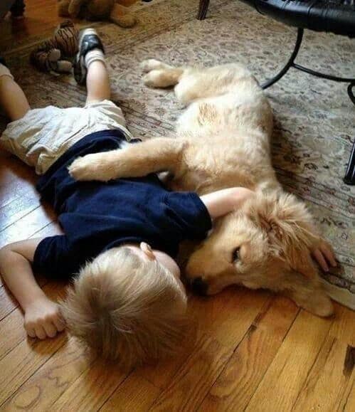 the boy hugged the dog and lay on the floor