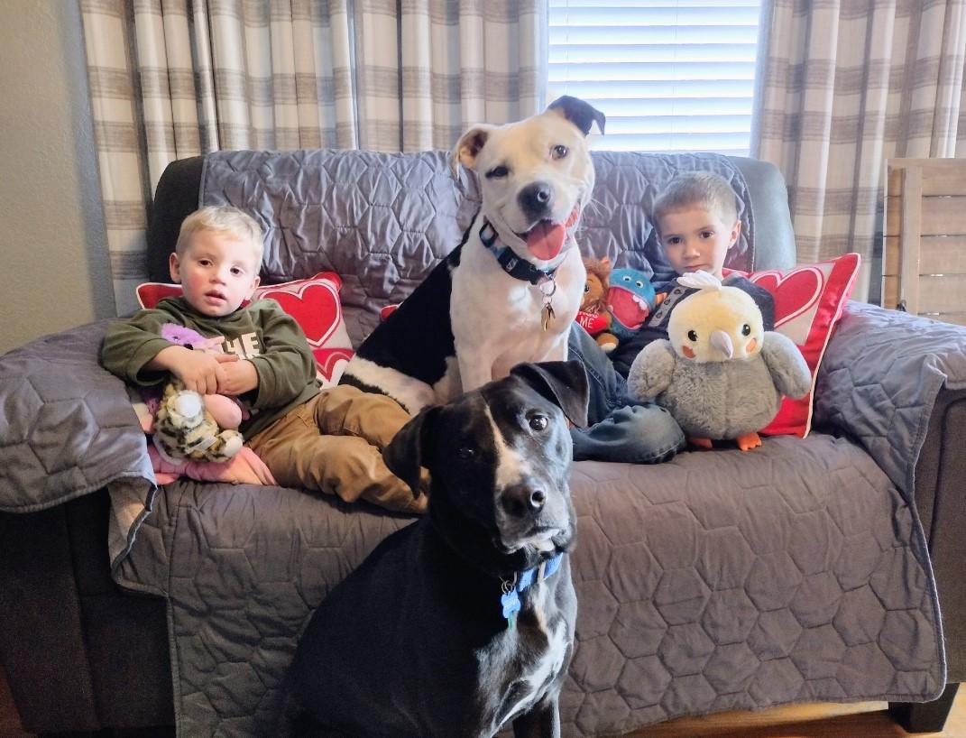 the children are sitting on the couch with the dogs