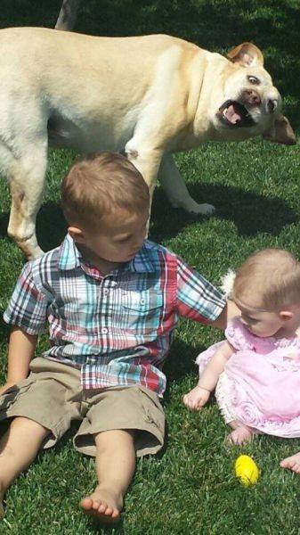 the children are sitting on the liad and playing while the dog in the background looks at them strangely