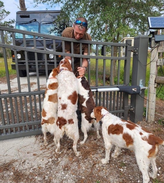 the delivery man petting the dogs