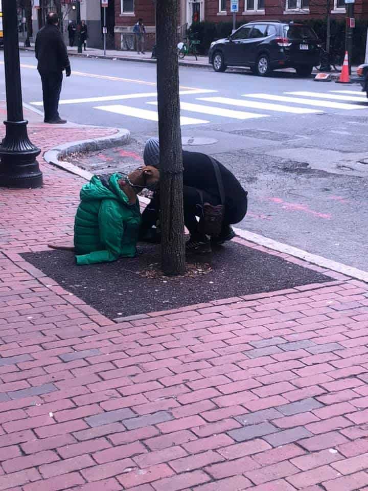 the dog and woman in the street