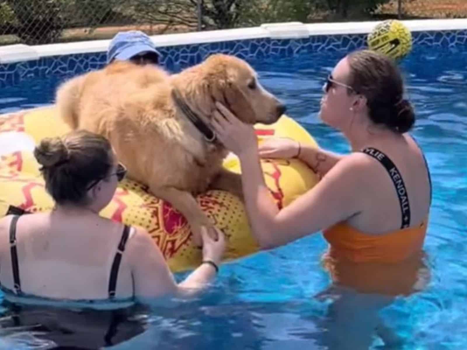 the dog in the pool with two woman