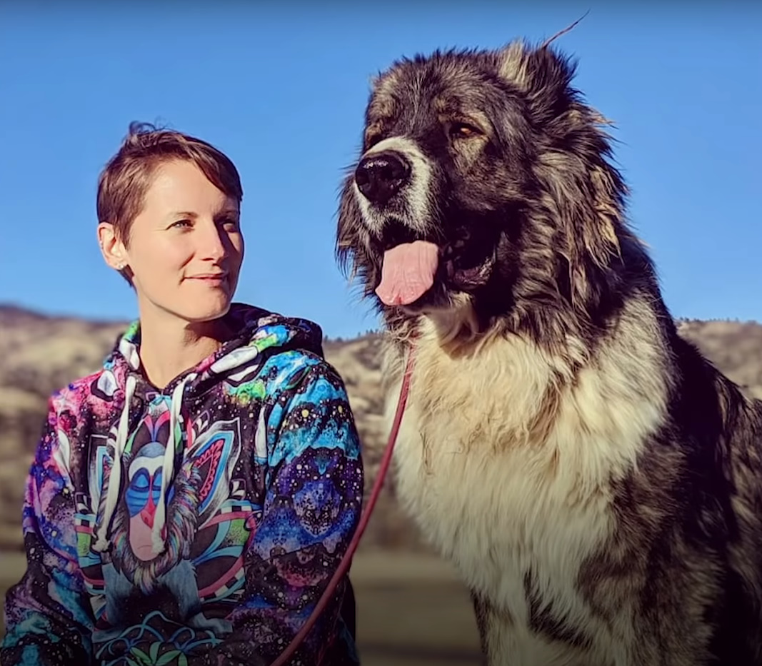 the dog is sitting next to the woman