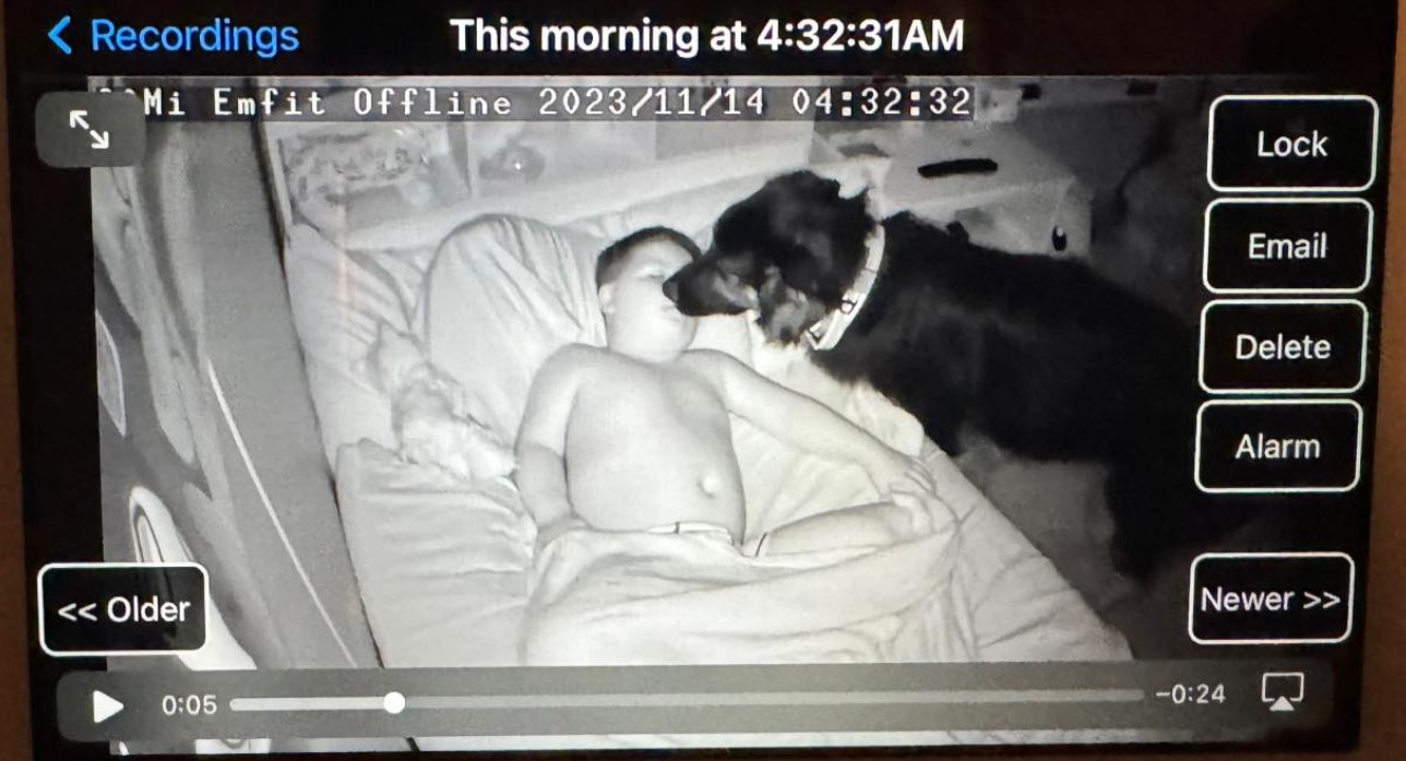 the dog licks the boy while he sleeps