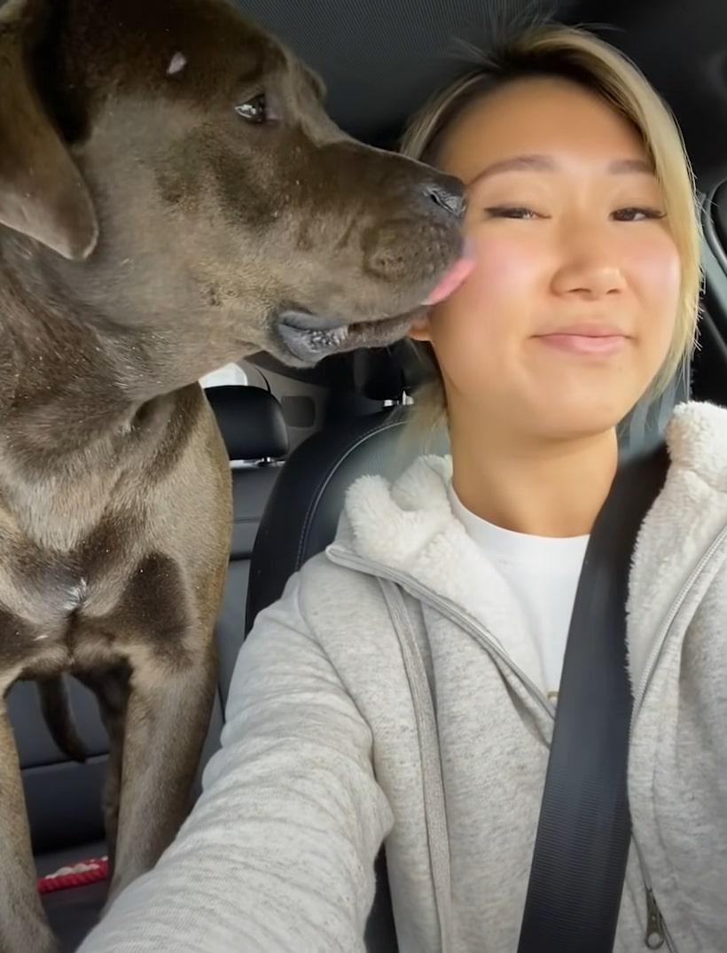 the dog licks the girl in the car