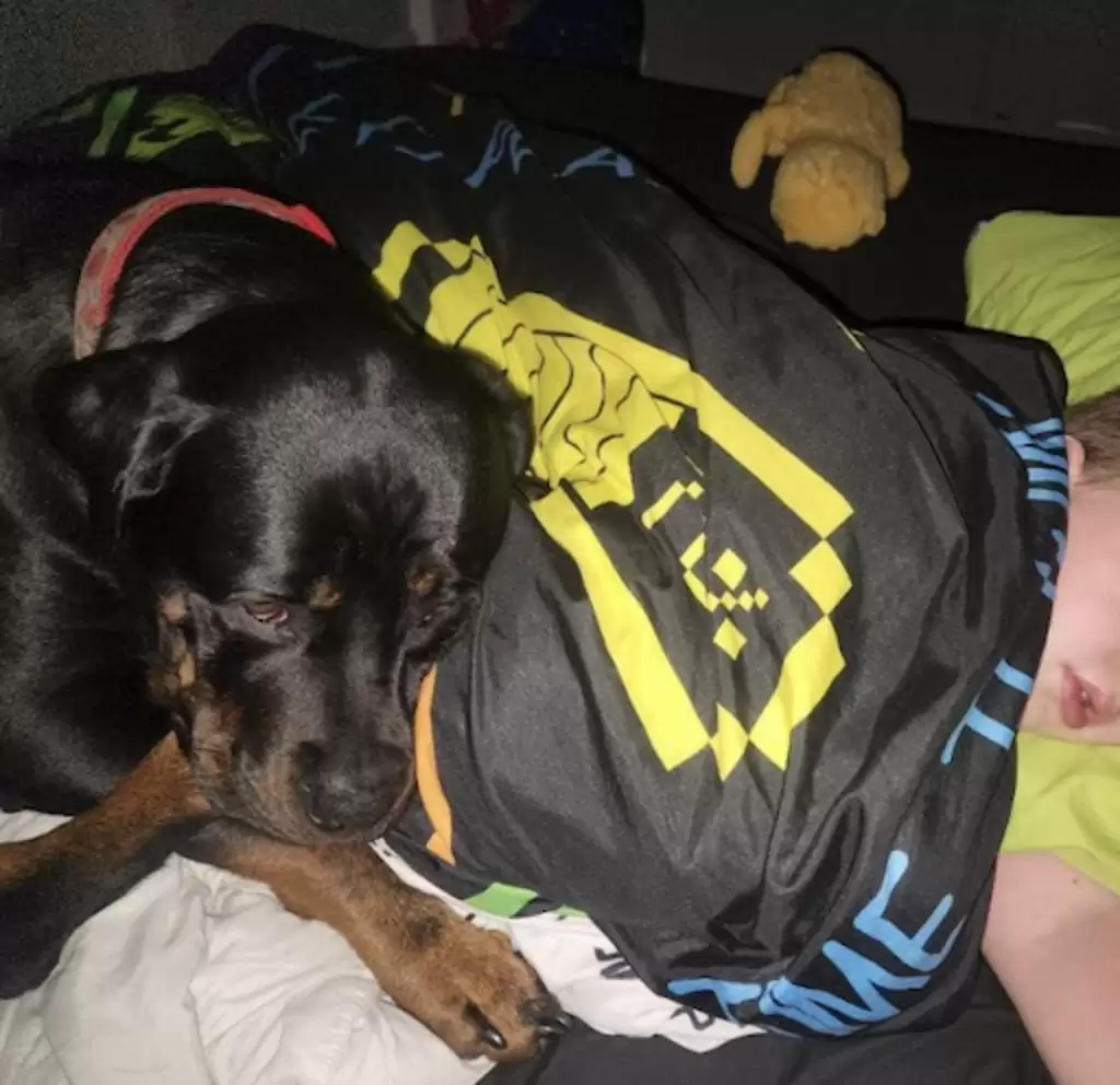 the dog looks after the boy while he sleeps